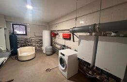 Casa Peresutti, 487 mp utili, curte 1300 mp, Calea Unirii 145