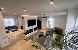 Casa Peresutti, 487 mp utili, curte 1300 mp, Calea Unirii 145