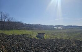 Teren intravilan, suprafata 7850 mp, zona Cornetu