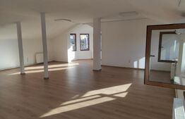 Spatiu comercial, 120 mp, zona Centru