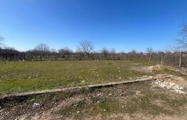 Teren intravilan, 700 mp, Cosoveni