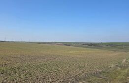 Teren intravilan, 4750 mp,  zona Exterior Nord 