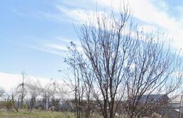 Teren de vânzare Exterior Sud, Craiova