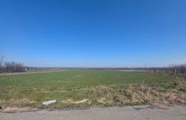 Teren de vanzare, 3800 mp, zona Mischii sat Gogosesti 