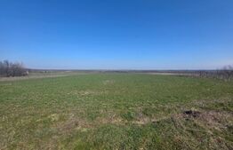 Teren de vanzare, 3800 mp, zona Mischii sat Gogosesti 