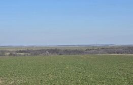 Teren de vanzare, 3800 mp, zona Mischii sat Gogosesti 