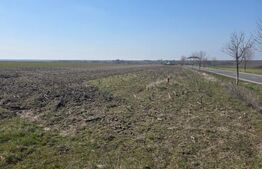 Teren de vânzare Nord, Craiova