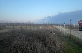 Casă la roșu P+1 cu proiect P+2, teren 500 mp – Bariera Vâlcii