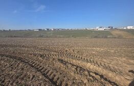 Teren intravilan, 5000 mp, zona Selgros, Preajba