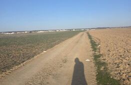 Teren intravilan, 5000 mp, zona Selgros, Preajba