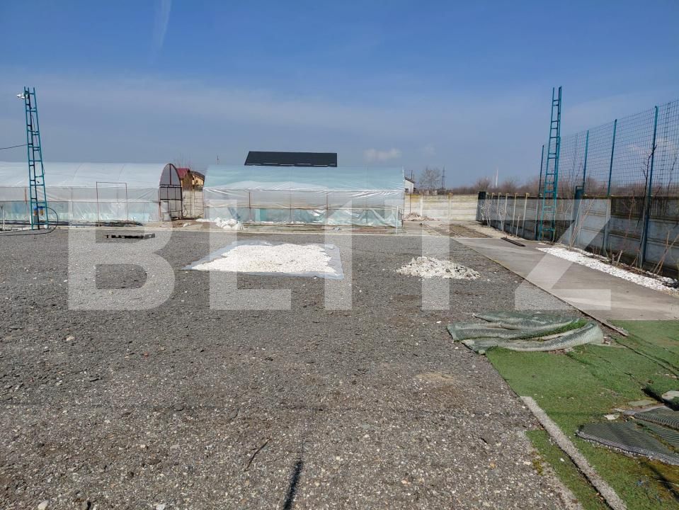 Teren de vânzare Cernele - 190612TV | BLITZ Craiova | Poza2