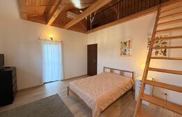 Casă individuală P + M, 99 mp, zona Siloz