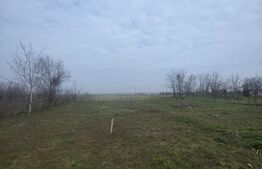 Teren intravilan, 5000 mp, zona Rovine 2 UTILITATI