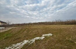 Teren Intravilan 504 mp, deschidere 24 ml, zona Penitenciar-Cârcea