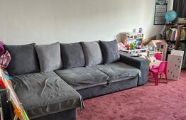 Apartament spatios 2 camere, zona Valea Rosie - CEC