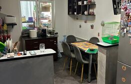 Apartament spatios 2 camere, zona Valea Rosie - CEC