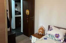 Apartament spatios 2 camere, zona Valea Rosie - CEC