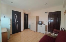 Garsonieră 16 mp, Calea Severinului, în spatele Brico Depot