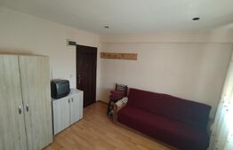 Garsonieră 16 mp, Calea Severinului, în spatele Brico Depot