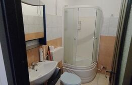 Garsonieră 16 mp, Calea Severinului, în spatele Brico Depot