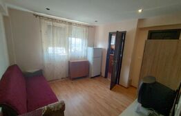 Garsonieră 16 mp, Calea Severinului, în spatele Brico Depot