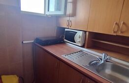 Garsonieră 16 mp, Calea Severinului, în spatele Brico Depot