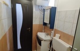 Garsonieră 16 mp, Calea Severinului, în spatele Brico Depot