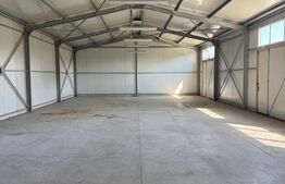 Spatiu comercial 280 mp + 700 mp curte, Filiasi 
