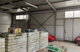 Spatiu comercial 280 mp + 700 mp curte, Filiasi 