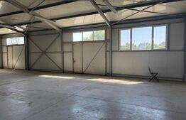 Spatiu comercial 280 mp + 700 mp curte, Filiasi 
