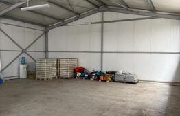 Spatiu comercial 280 mp + 700 mp curte, Filiasi 