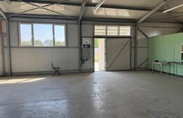 Spatiu comercial 280 mp + 700 mp curte, Filiasi 