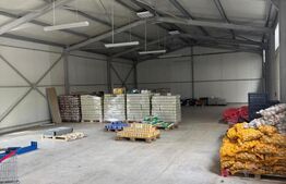 Spatiu comercial 280 mp + 700 mp curte, Filiasi 