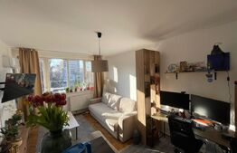 Garsoniera zona Rotonda - Calea Bucuresti, etajul 2, 26mp utili