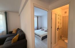 Apartament 2 camere, 38.24 mp, zonă Ultracentrală - Teatru National