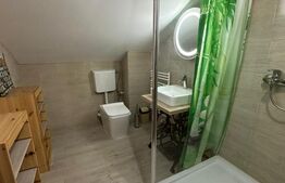 Casa moderna P+1+M, 3 dormitoare, 170 mp, zona Ford