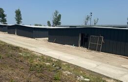 Hala industriala, 1450 mp, zona Pielesti