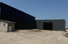 Hala industriala, 1450 mp, zona Pielesti