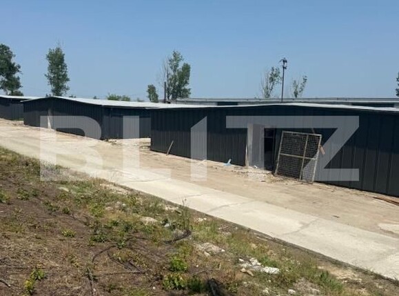 Spațiu industrial de închiriat Est - 191021SII | BLITZ Craiova | Poza6