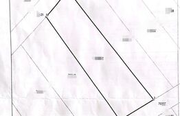 Terern intravilan, 725 mp, zona Popasul lui Radu - Bradesti