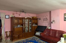 Casă P+1, 140 mp utili, zona Brestei/Râului