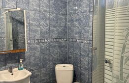 Casă P+1, 140 mp utili, zona Brestei/Râului