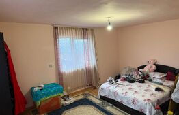 Casă P+1, 140 mp utili, zona Brestei/Râului