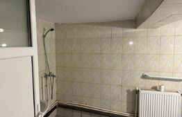 Casă P+1, 140 mp utili, zona Brestei/Râului