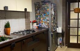 Vila S+P+1, 260 mp utili, teren 428 mp, zona Semicentrala