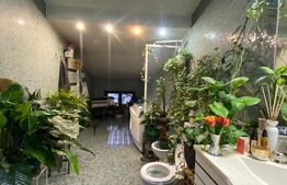 Vila S+P+1, 260 mp utili, teren 428 mp, zona Semicentrala