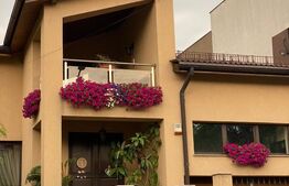 Vila S+P+1, 260 mp utili, teren 428 mp, zona Semicentrala