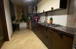 Vila S+P+1, 260 mp utili, teren 428 mp, zona Semicentrala