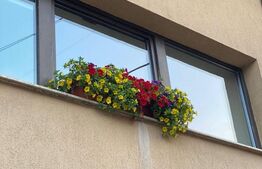 Vila S+P+1, 260 mp utili, teren 428 mp, zona Semicentrala