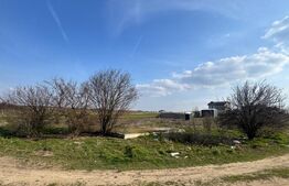 Teren intravilan, 520 mp, Malu Mare str. Pinului 